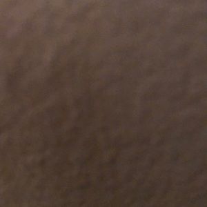 Meet your Posher, Ally